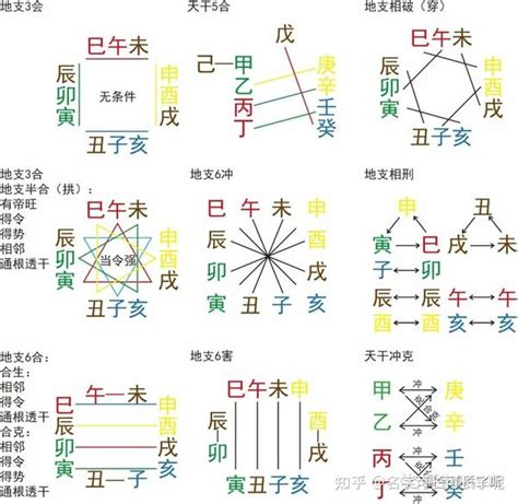 地支屬性|【十二屬性】十二生肖與地支五行屬性全攻略，一文搞懂你的本命。